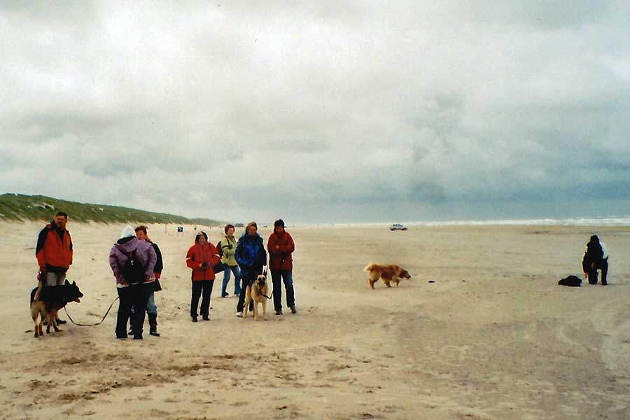 Wir machen gemeinsame Ferien am Strand...