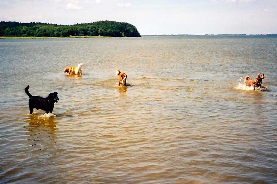 ...und die Flut kommt